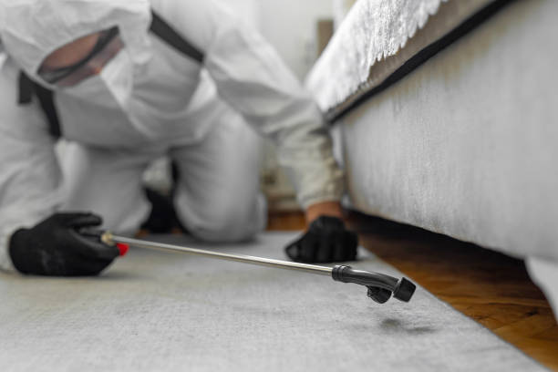 Professional Bed Bug Control technician working in Loudoun County County, VA